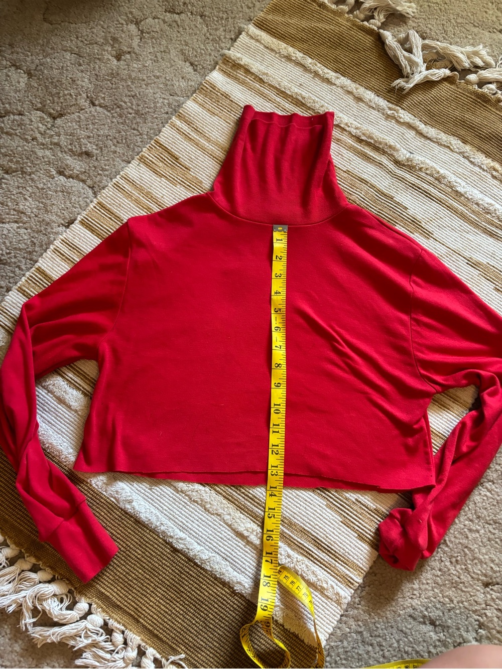 Erika Red Cropped Turtleneck Sweatshirt